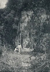 ハイパラナロード、1895