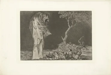 恐怖の愚かさ Disparate de miedo Los Disparates (The follies) (シリーズタイトル) Los Proverbios (The Proverbs) (シリーズタイトル)