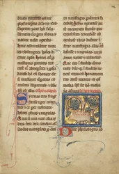 動物寓話のMsLudwig XV 4のハリネズミ、fol。 82、c.1280-1300（テンペラ、ペンとインク、金箔と羊皮紙の絵の具）