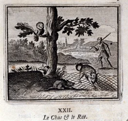 猫とネズミ。ジャン・ド・ラ・フォンテーヌ（1621-95）の寓話。挿絵はフランソワ・ショーボー（1613-1676）。1728年の版。
