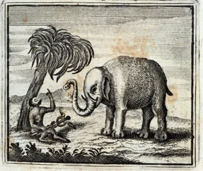 木星の象と猿。ジャン・ド・ラ・フォンテーヌ（1621-95）の寓話。挿絵はフランソワ・ショーボー（1613-1676）。1728年の版。