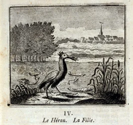 鷺です。ジャン・ド・ラ・フォンテーヌ（1621-95）の寓話。挿絵はフランソワ・ショーボー（1613-1676）。1728年の版。