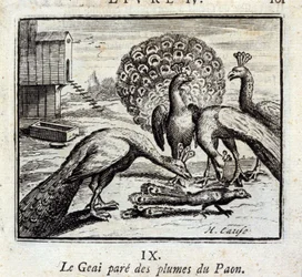 カケスはクジャクの羽で身を飾る。ジャン・ド・ラ・フォンテーヌ（1621-95）の寓話。フランソワ・ショーヴォー（1613-1676）による挿絵。1728年版。