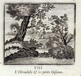 燕と小鳥たちジャン・ド・ラ・フォンテーヌ（1621-95）の寓話。挿絵はフランソワ・ショーボー（1613-1676）。1728年の版。