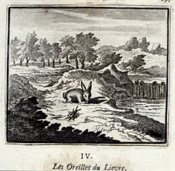 リーヴルの耳。ジャン・ド・ラ・フォンテーヌ（1621-95）の寓話。挿絵はフランソワ・ショーボー（1613-1676）。1728年の版。
