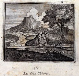 二匹のヤギ。ジャン・ド・ラ・フォンテーヌ（1621-95）の寓話。挿絵はフランソワ・ショーボー（1613-1676）。1728年の版。