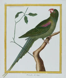 ペルーシュ、デジンギ、c.1770-86（手塗りの彫刻）