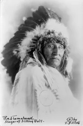 レッド・トマホーク、シッティング・ブルを殺した人物、1890-1910年頃