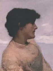 図鑑、ニューリン