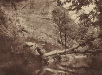 川岸、1855年頃1855年（写真）