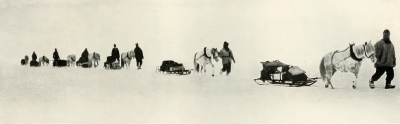 1913年、1913年3月のポニー