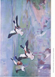 Dersingham沼地の上を飛んでいるSucked Duck