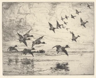 アラーム P. 111 パブ。 セント。