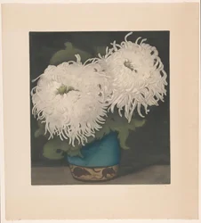 菊二輪