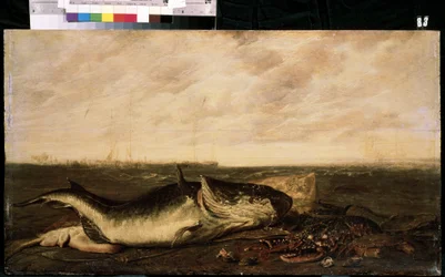 ビーチの魚とロブスター（海岸での魚とロブスター）。 Frans Ryckhalsによる絵画（1600-1647以降）。 キャンバスのオイル、47 x 83.5 cm