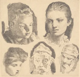 テストプレート：5頭