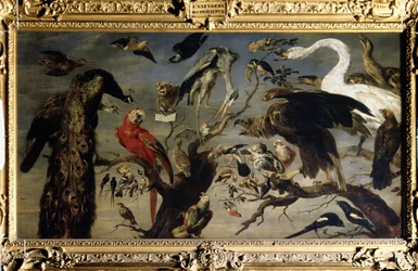 鳥のコンサート（鳥のコンサート）。 Frans Snyders (1579-1657) による絵画。 キャンバスに油彩