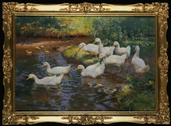 アヒルの家族（川岸にひよこがいるアヒル）