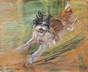 跳ぶ犬