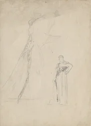 ヒョウの皮を使ったドレープ研究