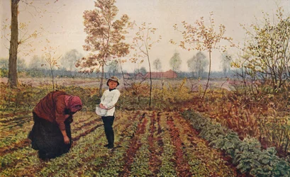 スミレの野、1867年、1915年頃