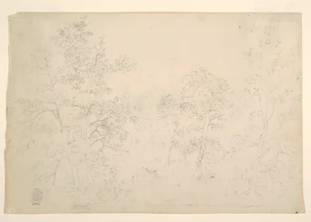 水辺の栗の木