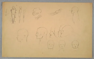 素描、解剖学的研究、1865-70年