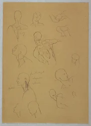 素描、解剖学的研究、1865-70年