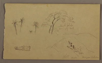 素描、植物スケッチ、人物、1865年5月-8月