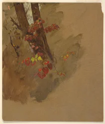 素描、植物学、1860-70年