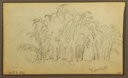 素描「風景の中の牛」、裏面は竹、1857年