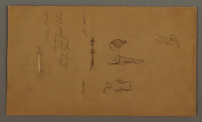 素描、人物習作、舟に乗った人物、魚、おそらく1868年