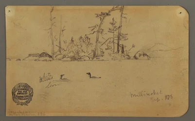 ドローイング、島、2羽のハシビロコウ、1878年