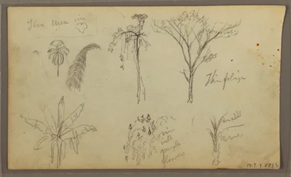 デッサン、風景、グアヤキル、エクアドル、1857年5月21日