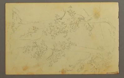 ドローイング、木々に囲まれたミル、1845年