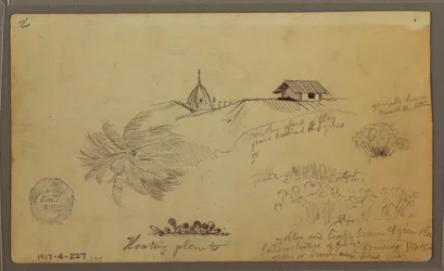 素描「海の上の空」；裏面：植物スケッチ「屋上」1857年5月