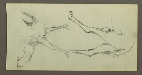 デッサン、ラクダの脚の習作、1868年頃か