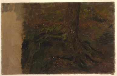 素描、木の幹の習作、1850-60年