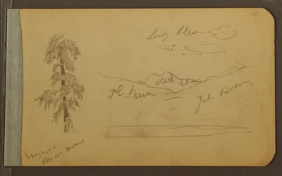 ドローイング、木、山、1889年
