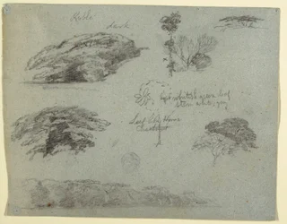 デッサン、樹木、樹木の頂、林のある土手、メイン州サドルバック、1853年