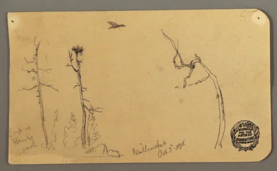 ドローイング、樹木、飛ぶ鳥、1877年