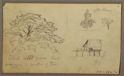 デッサン、グアヤキルの眺め、エクアドル、1857年5月23日