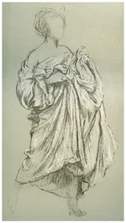 ダフネフォリアの研究、c1880-1882