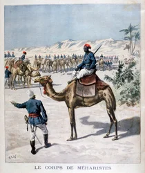 メアリストの体、1894
