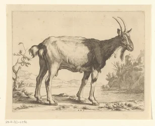 ヤギ Abraham Bloemaert のドローイング ブック (シリーズ タイトル)