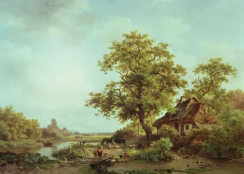 森の風景