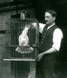 飼育員が1924年10月にロンドン動物園でキバタンのジェイドを檻の中で抱えている
