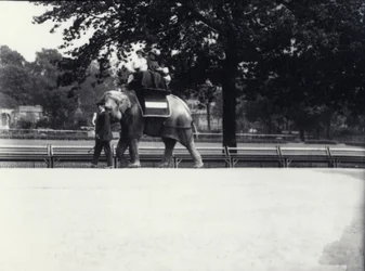 1914年5月、ロンドン動物園で飼育係に率いられながら、2人の女性と1人の子供に乗るアジアゾウ「ジェシー」