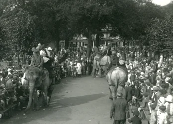 1926年8月、ロンドン動物園で3頭のアジアゾウを大勢の観客が見守る中でのエレファントライド（モノクロ写真