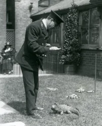 ロンドン動物園の芝生でキーパーコリンズと1924年にロンドン動物園でリードを曇らせたロックイグアナ